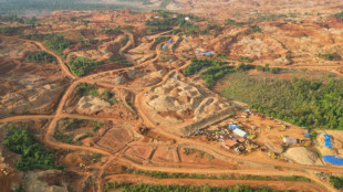 Satelliten-Analyse: Riesige Waldflächen in Indonesien für den Bergbau gerordet
