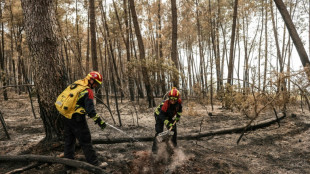 Les principaux incendies contenus avant une nuit d'orages périlleuse