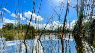 US announces historic $1.1 bn investment for Everglades rehabilitation