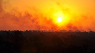 Brasile, indagini sul ruolo della criminalità negli incendi