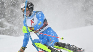 Italy's Vinatzer in pole for Kitzbuehel slalom